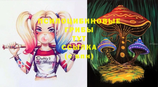 прущие крисы Зеленокумск