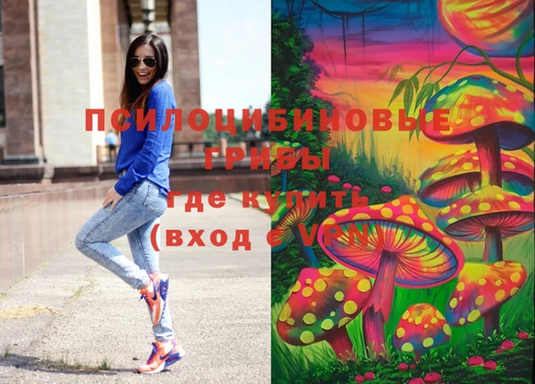 прущие крисы Зеленокумск