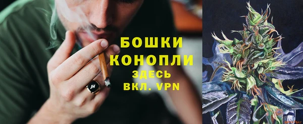 прущие крисы Зеленокумск