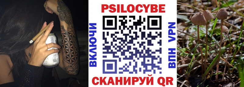 Псилоцибиновые грибы Magic Shrooms Купить закладки Облучье
